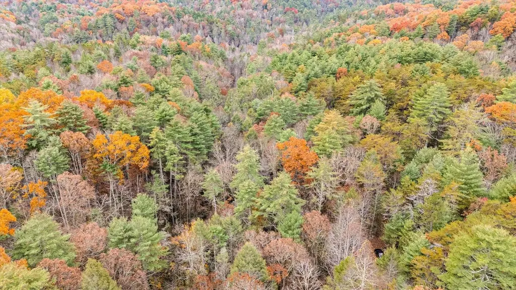 138 Bowater Road Tellico Plains TN 37385
