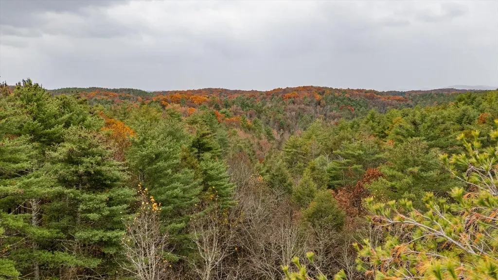 138 Bowater Road Tellico Plains TN 37385