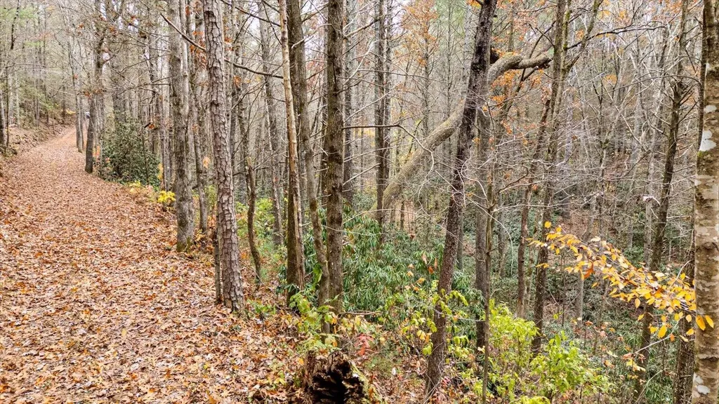 138 Bowater Road Tellico Plains TN 37385
