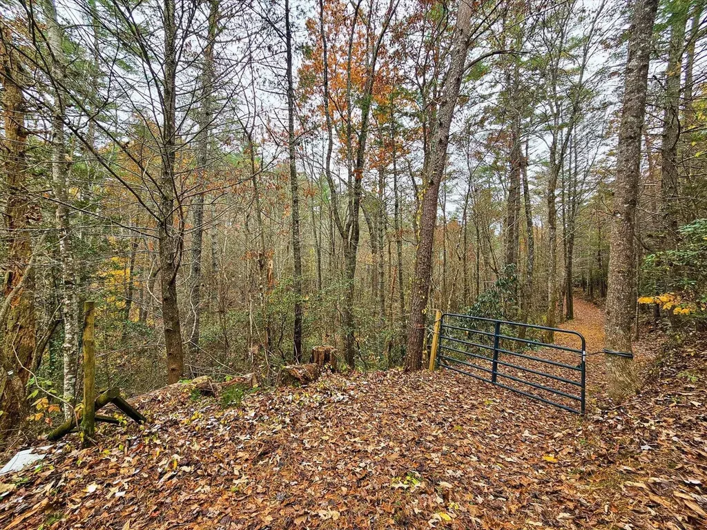 138 Bowater Road Tellico Plains TN 37385