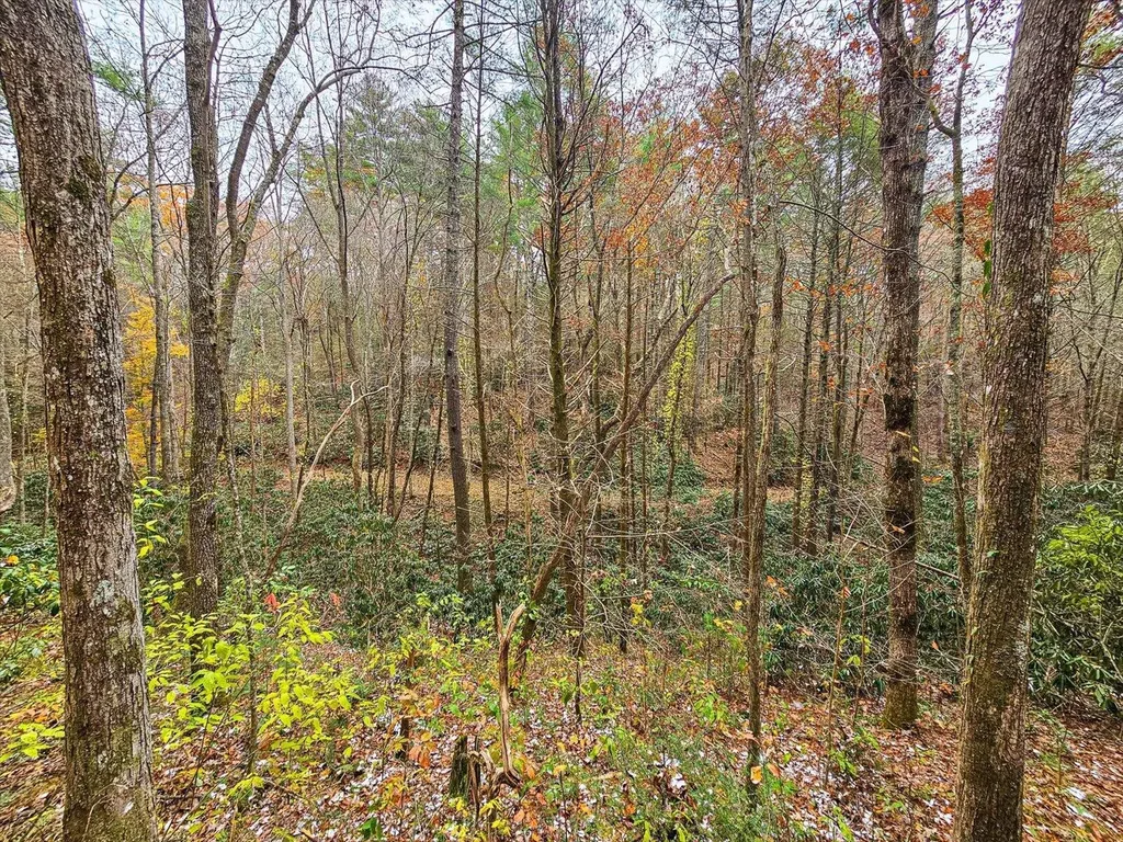 138 Bowater Road Tellico Plains TN 37385