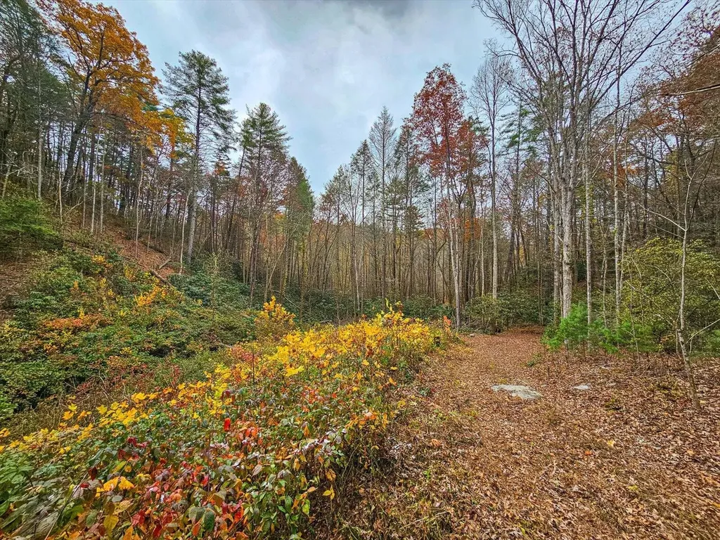 138 Bowater Road Tellico Plains TN 37385