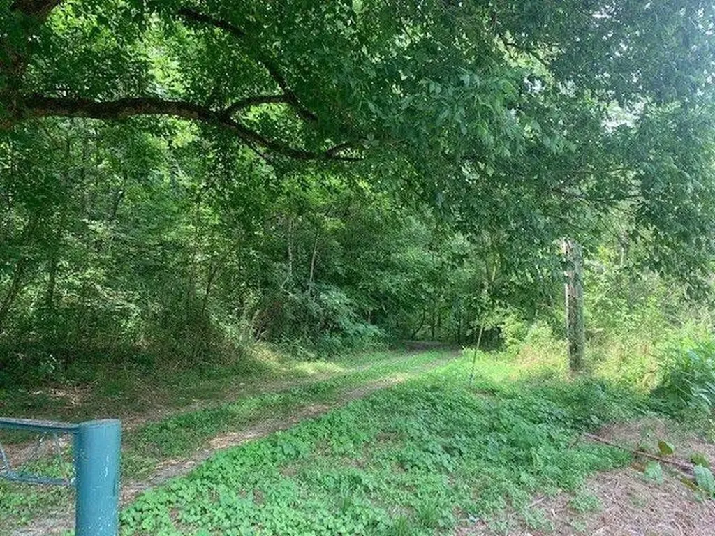 874 County Road 480 Englewood TN 37329