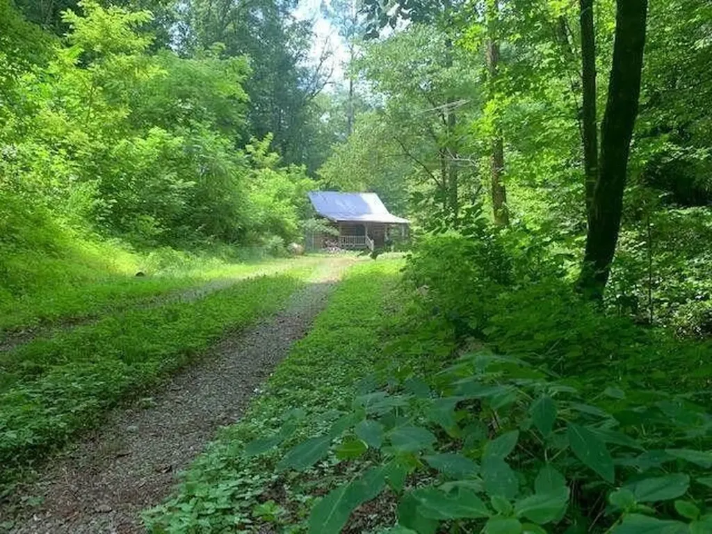 874 County Road 480 Englewood TN 37329