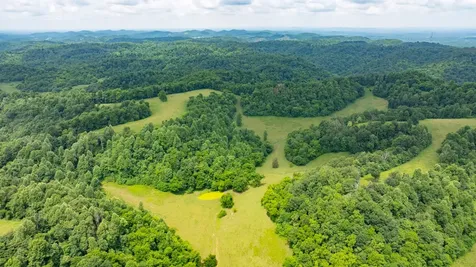 8100 Eaton Hollow Road Christiana TN 37037