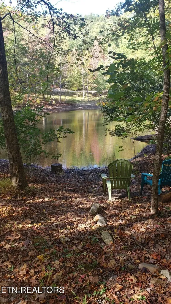 1029 Smithfield Road Tellico Plains TN 37385