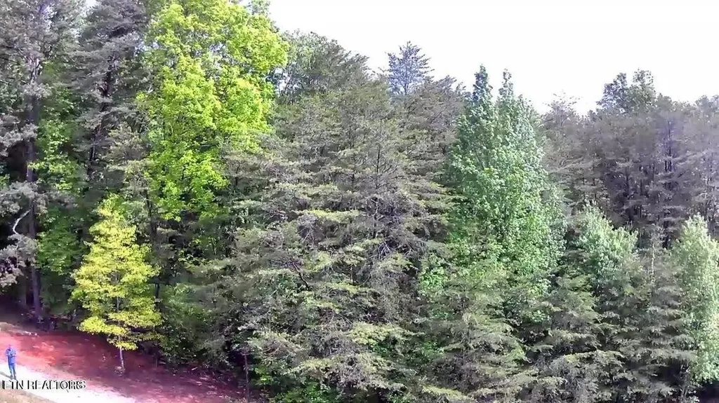 188 Dalton Branch Road Tellico Plains TN 37385