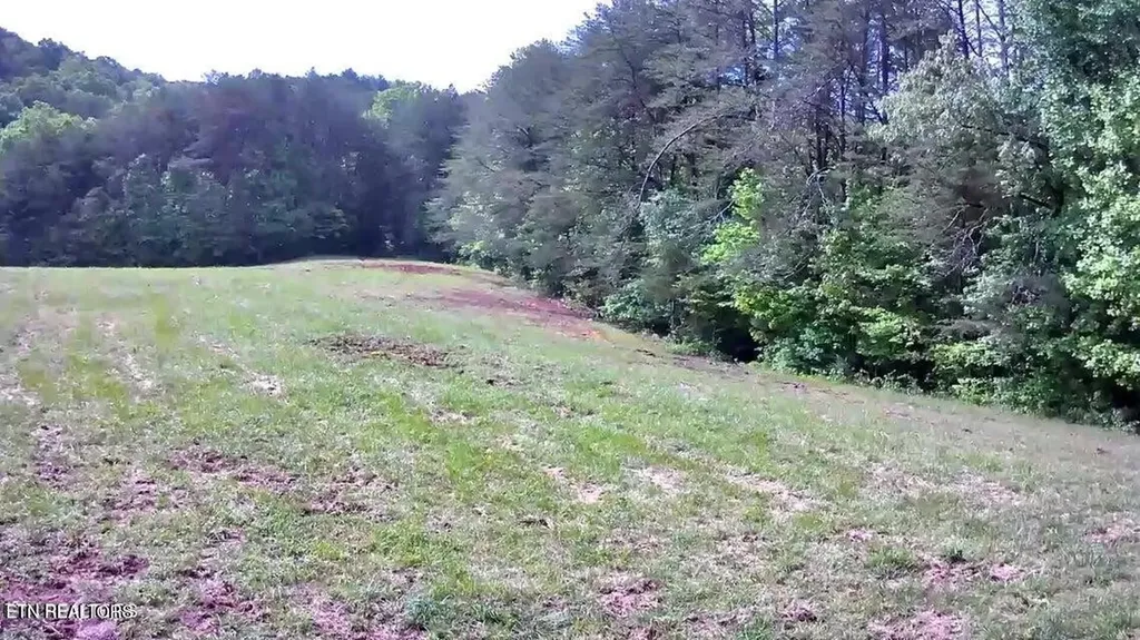 188 Dalton Branch Road Tellico Plains TN 37385