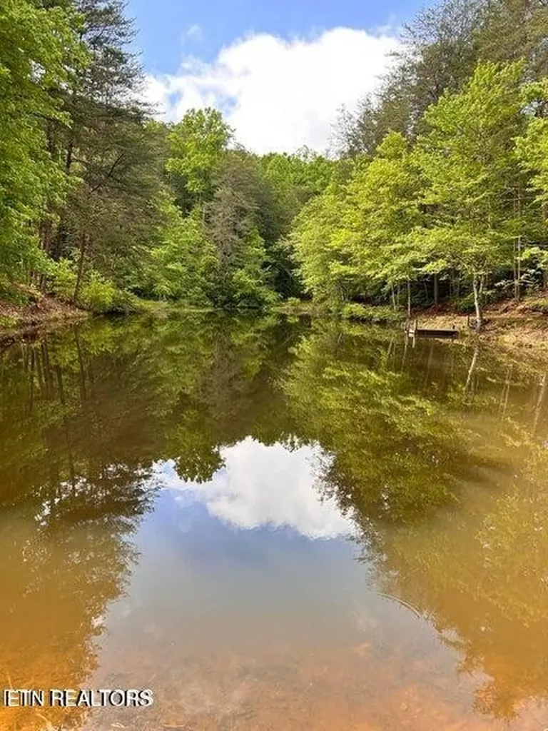 188 Dalton Branch Road Tellico Plains TN 37385