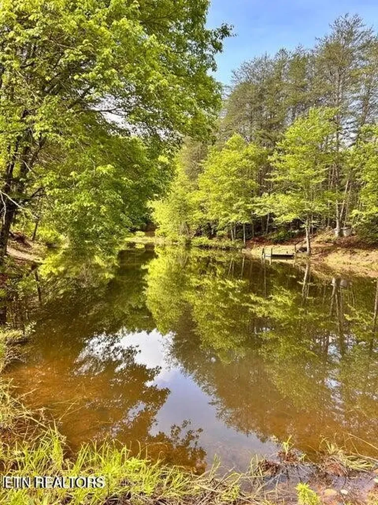 188 Dalton Branch Road Tellico Plains TN 37385
