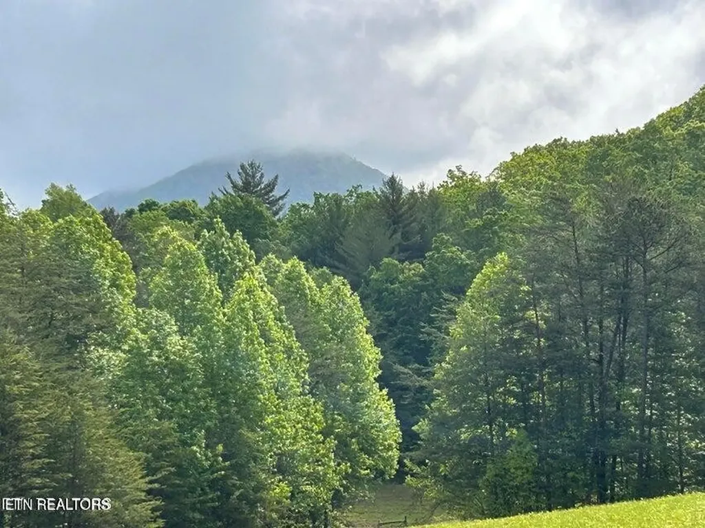 188 Dalton Branch Road Tellico Plains TN 37385