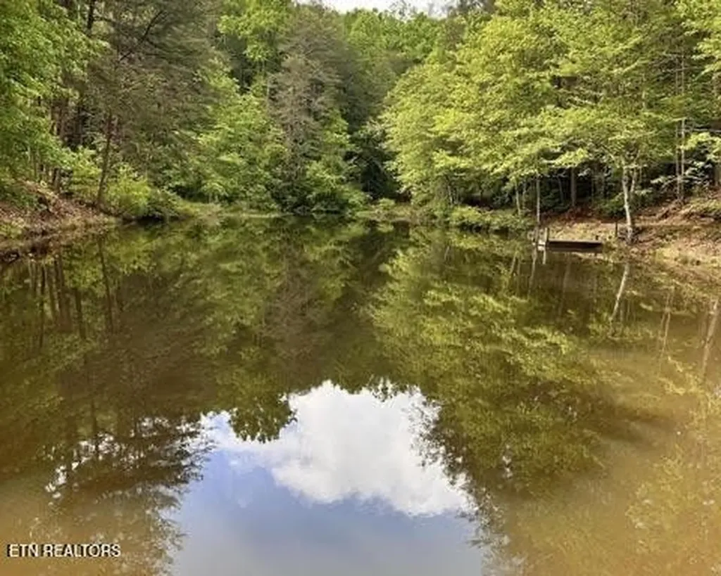 188 Dalton Branch Road Tellico Plains TN 37385