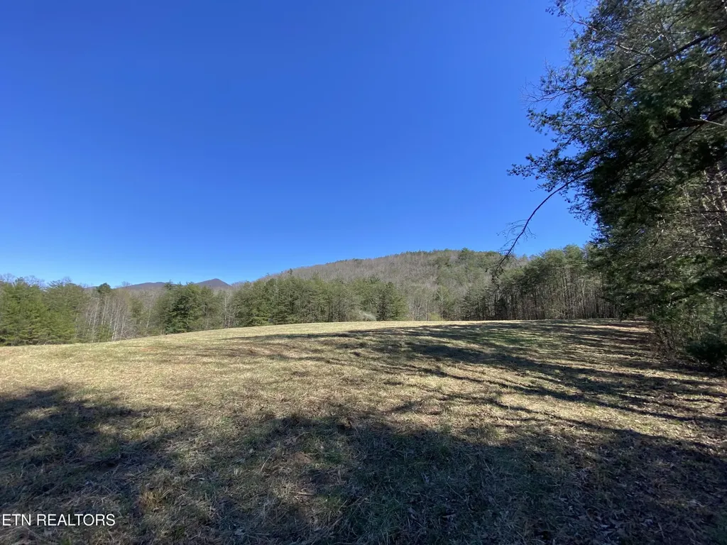 188 Dalton Branch Road Tellico Plains TN 37385