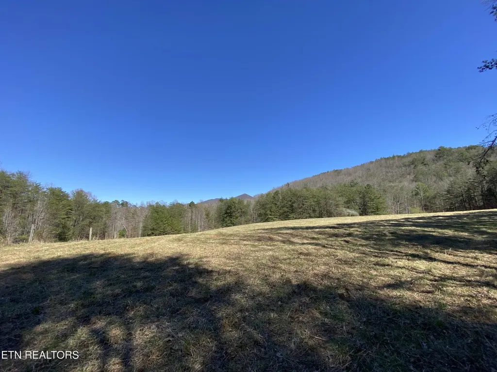 188 Dalton Branch Road Tellico Plains TN 37385