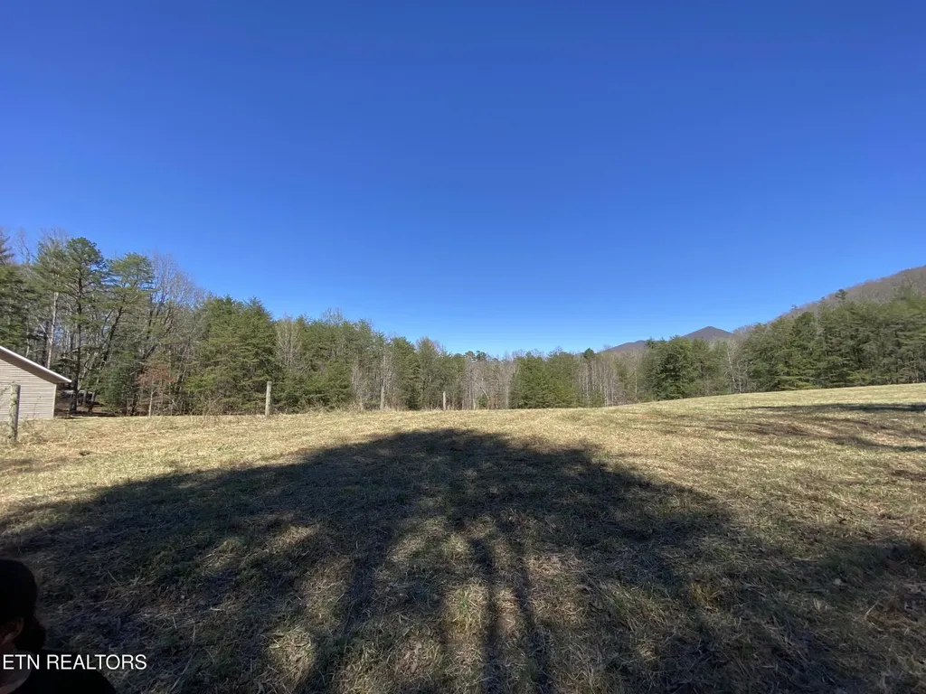 188 Dalton Branch Road Tellico Plains TN 37385