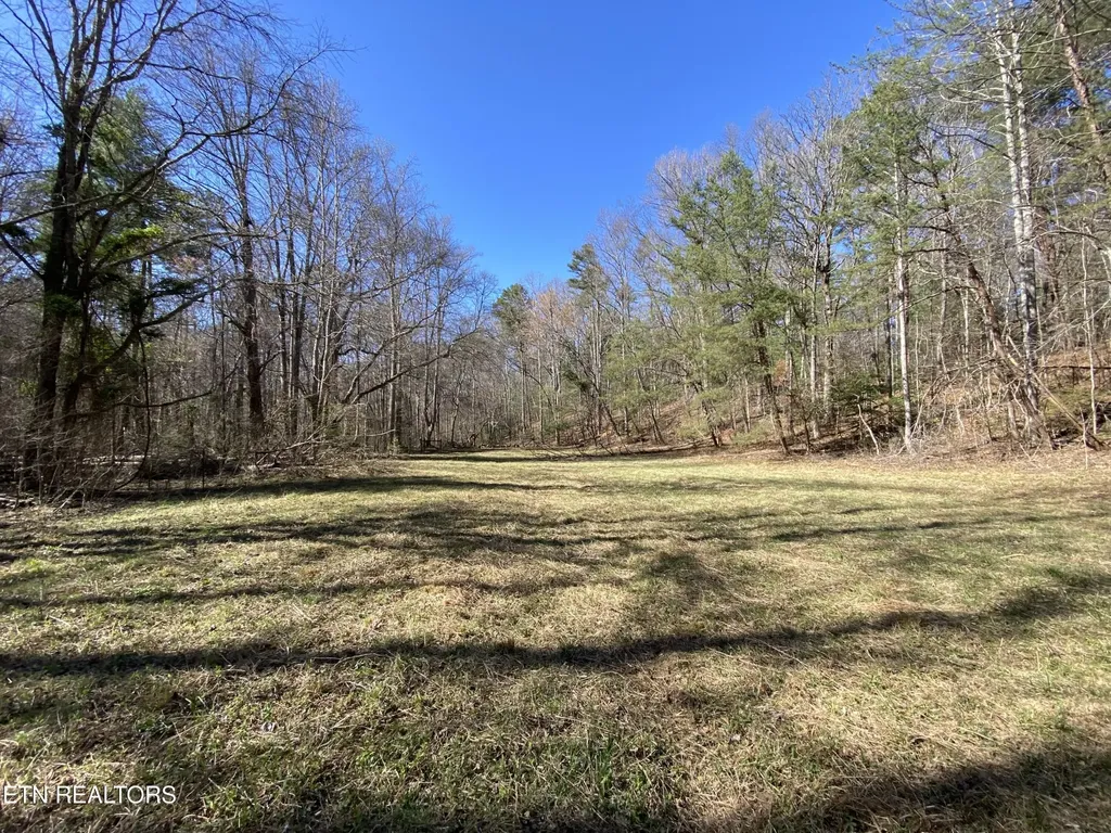 188 Dalton Branch Road Tellico Plains TN 37385