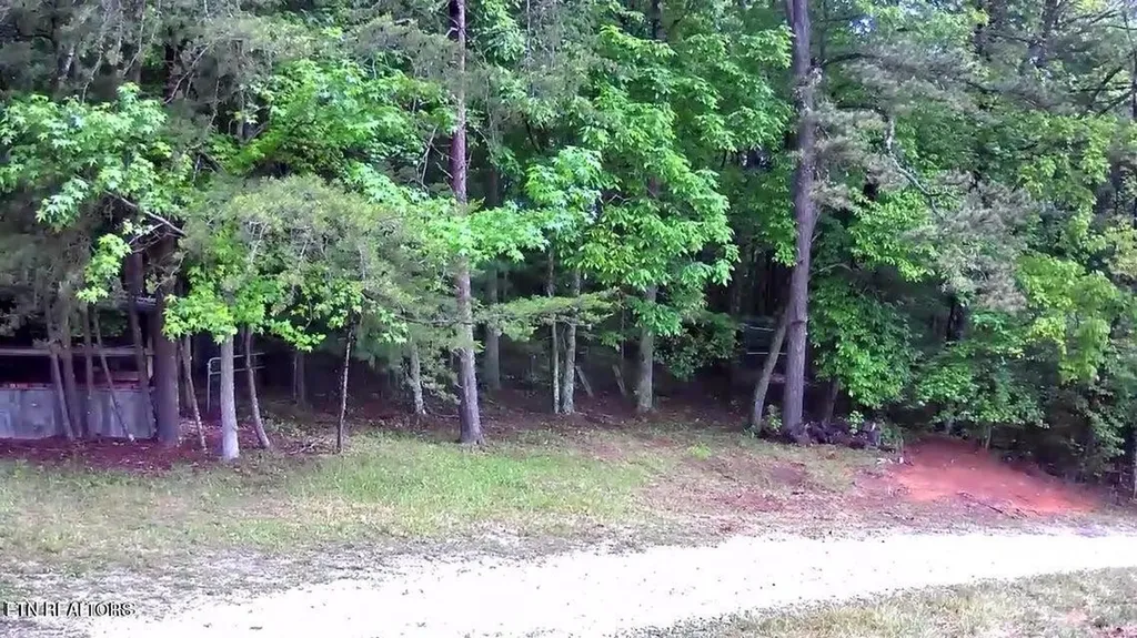 188 Dalton Branch Road Tellico Plains TN 37385