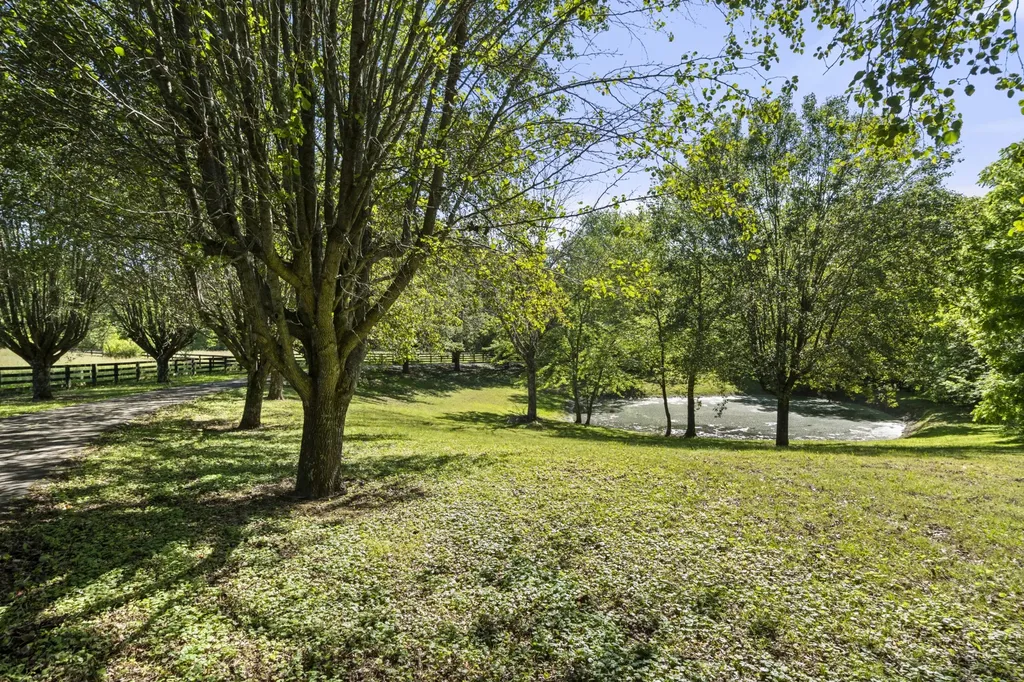 8238 Hawkins Road College Grove TN 37046