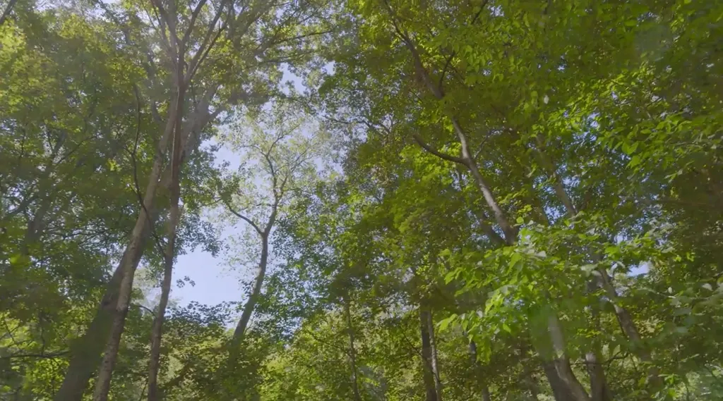 0 Mud Hollow Road Hendersonville TN 37075