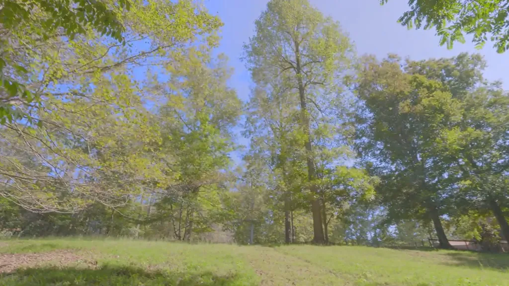 0 Mud Hollow Road Hendersonville TN 37075
