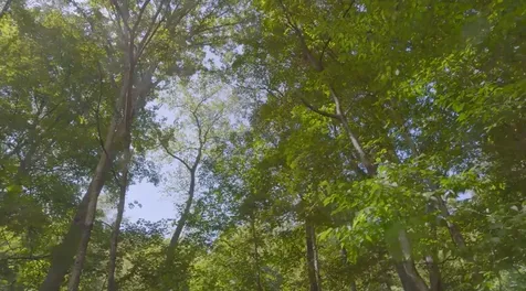0 Mud Hollow Road Hendersonville TN 37075