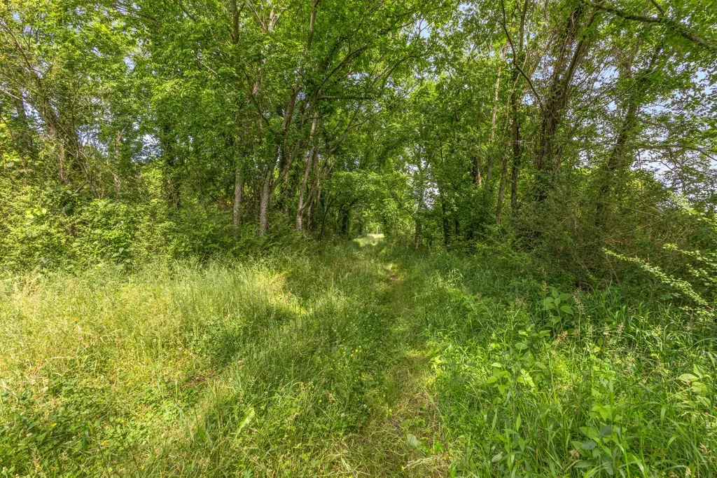 1 Neptune Road Ashland City TN 37015