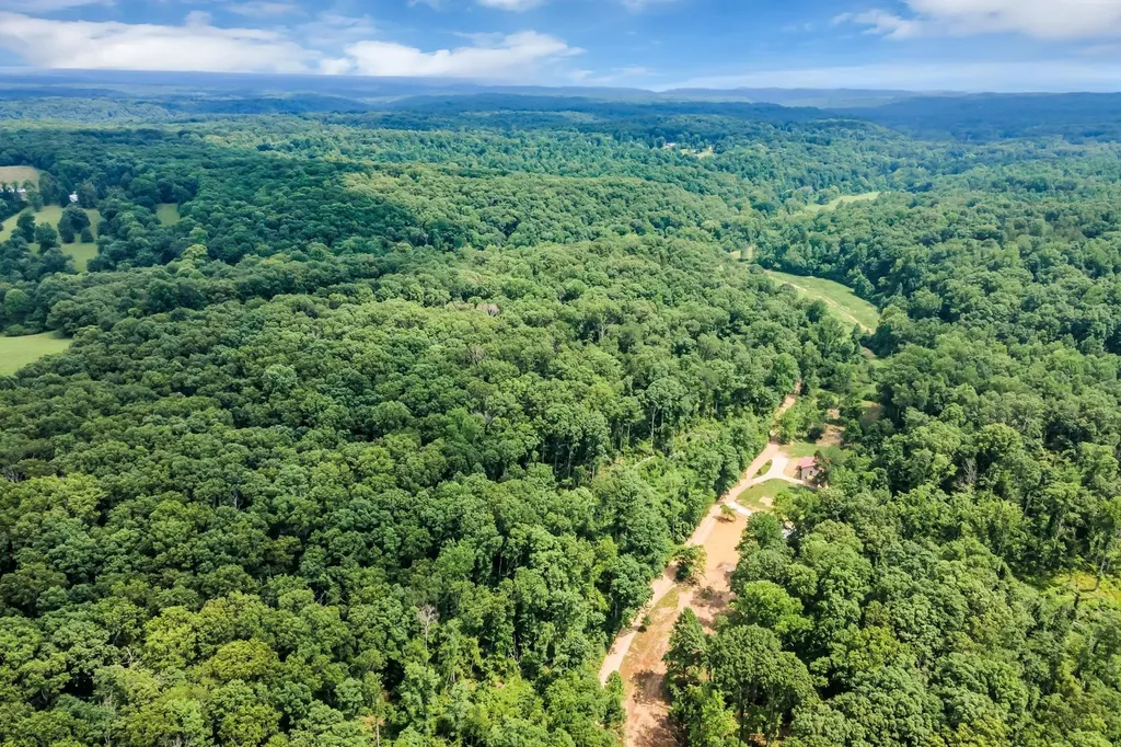 5940 Hassells Creek Lane Lyles TN 37098