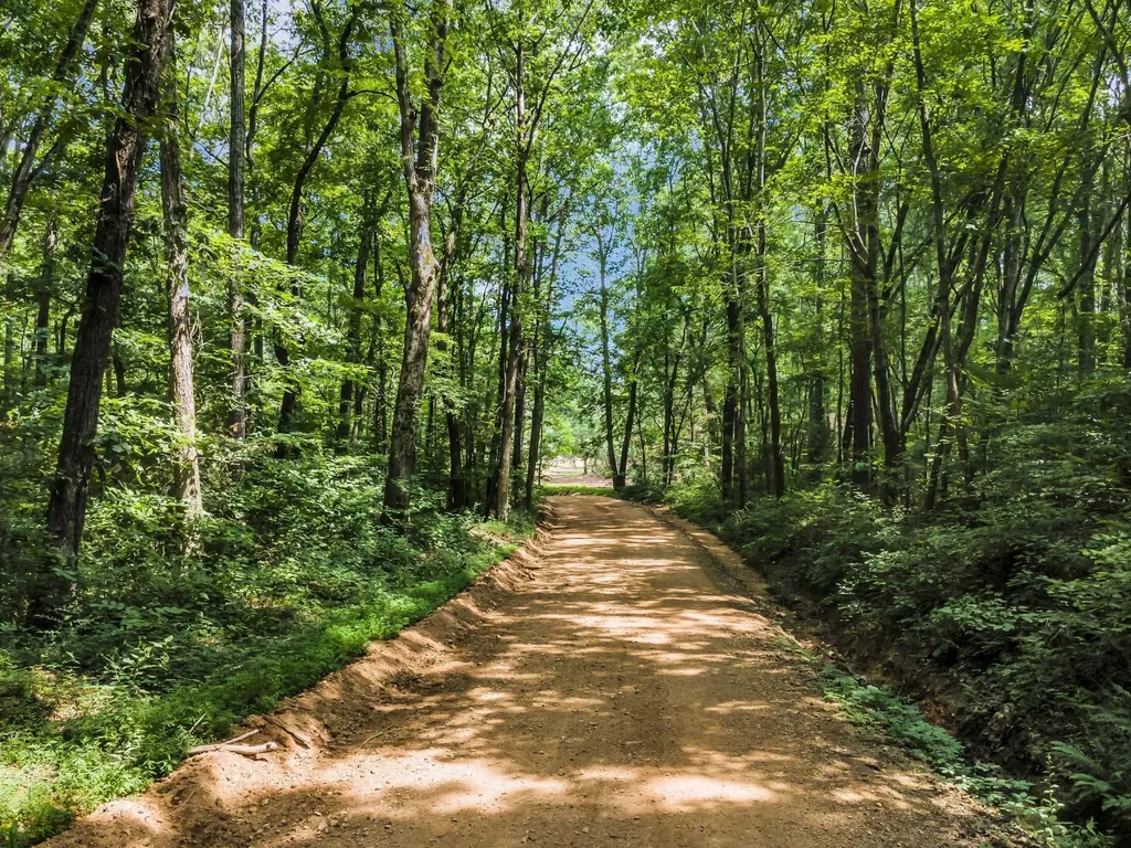 5940 Hassells Creek Lane Lyles TN 37098
