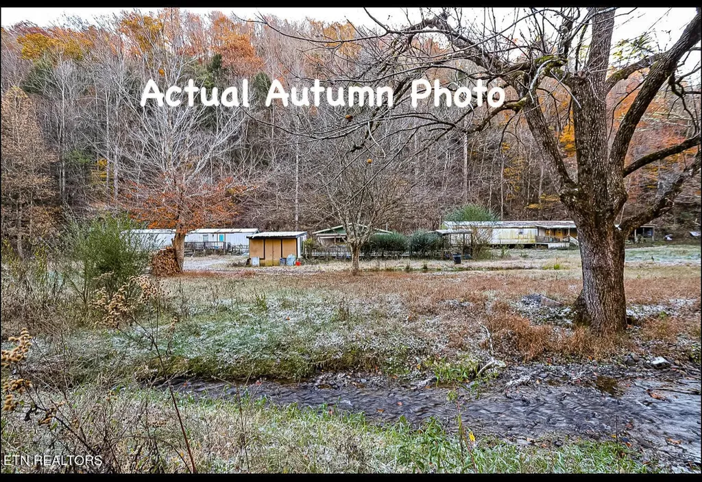 553 Caney Creek Road Pigeon Forge TN 37863