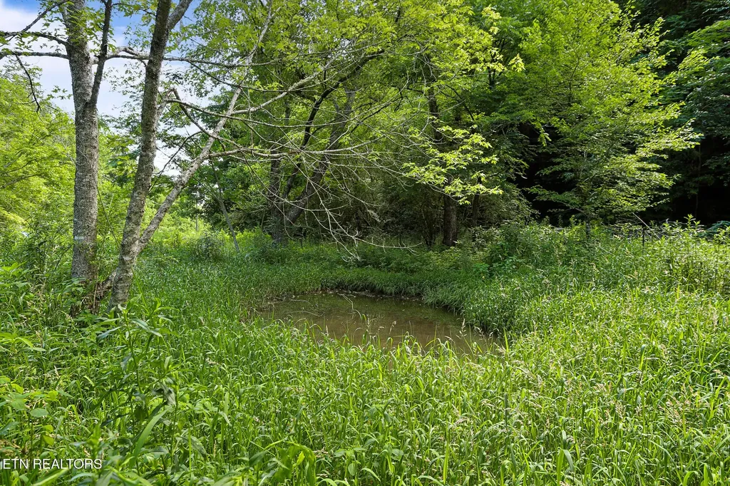 553 Caney Creek Road Pigeon Forge TN 37863