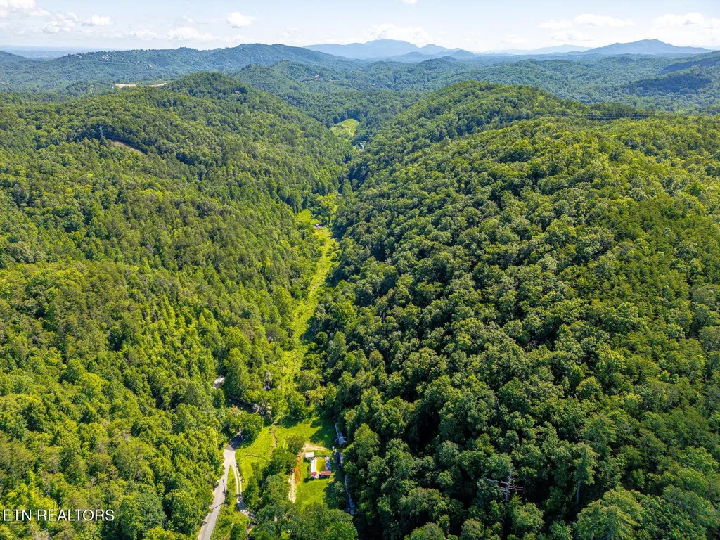 553 Caney Creek Road Pigeon Forge TN 37863