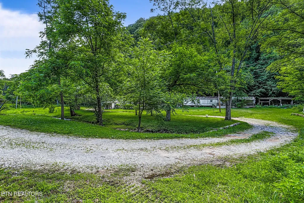 553 Caney Creek Road Pigeon Forge TN 37863