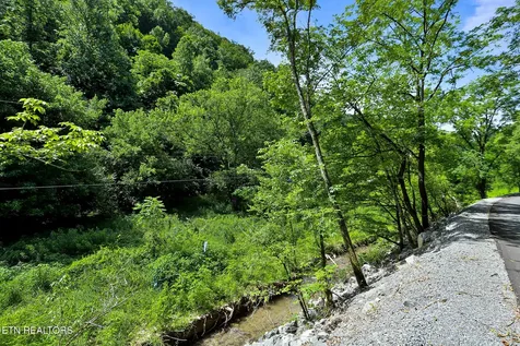 553 Caney Creek Road Pigeon Forge TN 37863