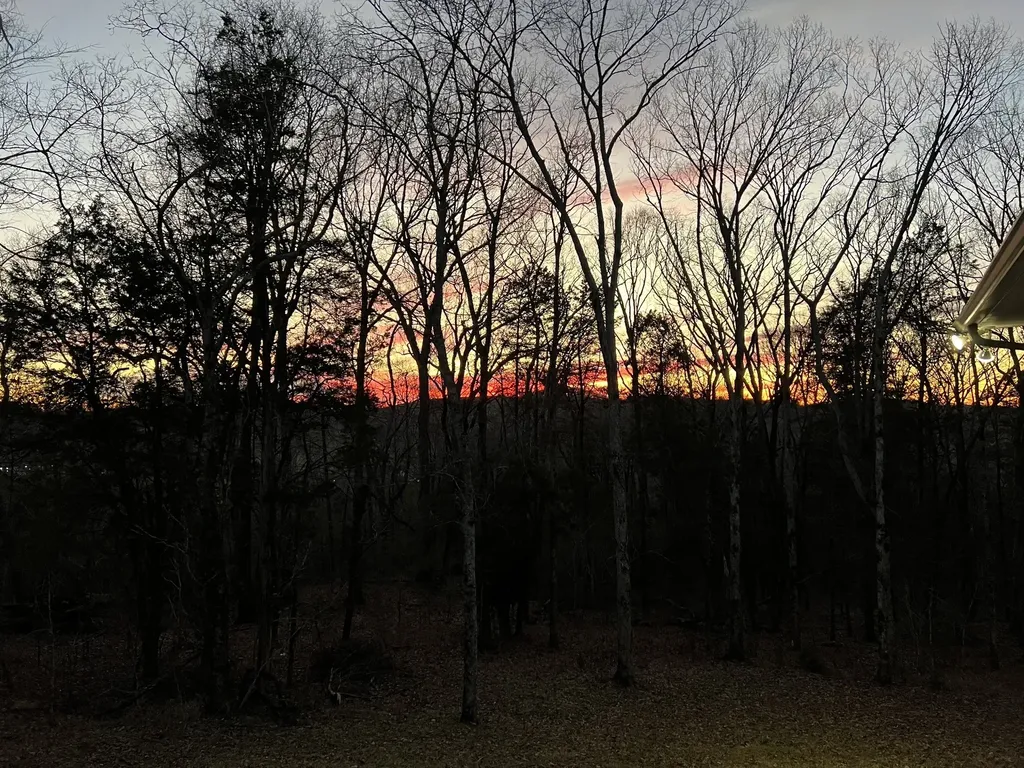 1555 Heller Ridge Spring Hill TN 37174