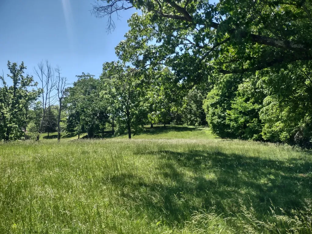 3 Valley Road Springfield TN 37172