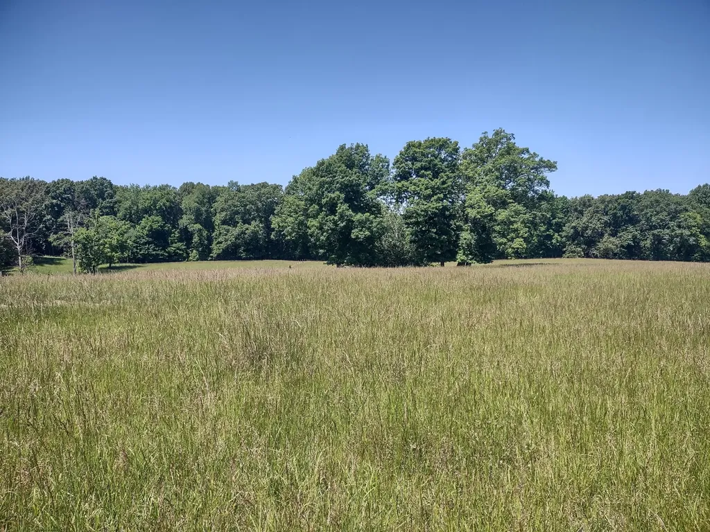 3 Valley Road Springfield TN 37172