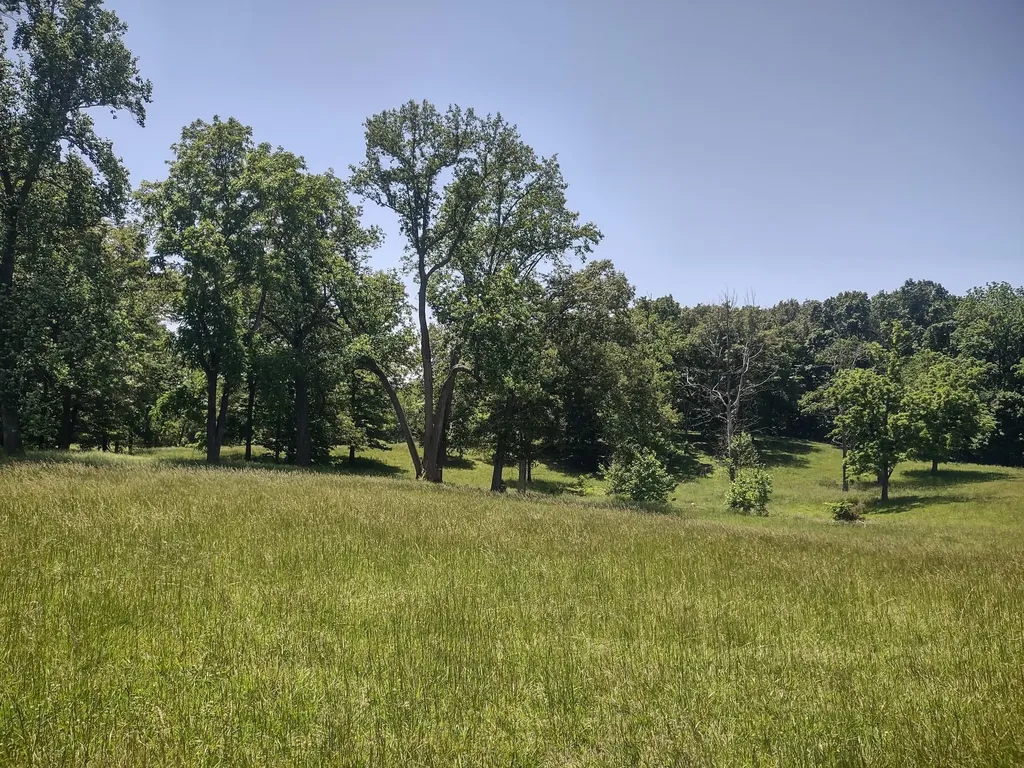 3 Valley Road Springfield TN 37172