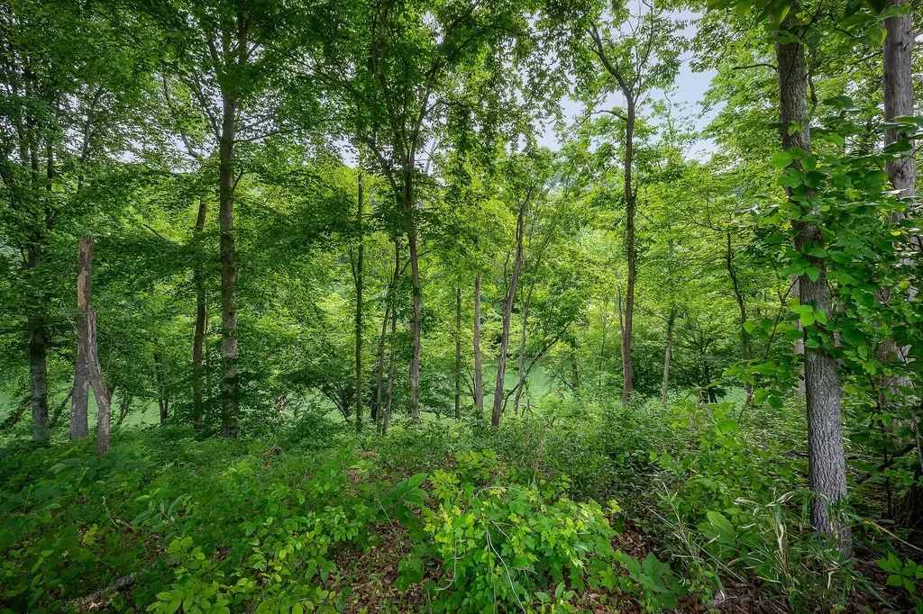 0 Hidden River Road Rock Island TN 38581