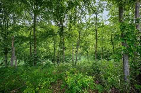 0 Hidden River Road Rock Island TN 38581