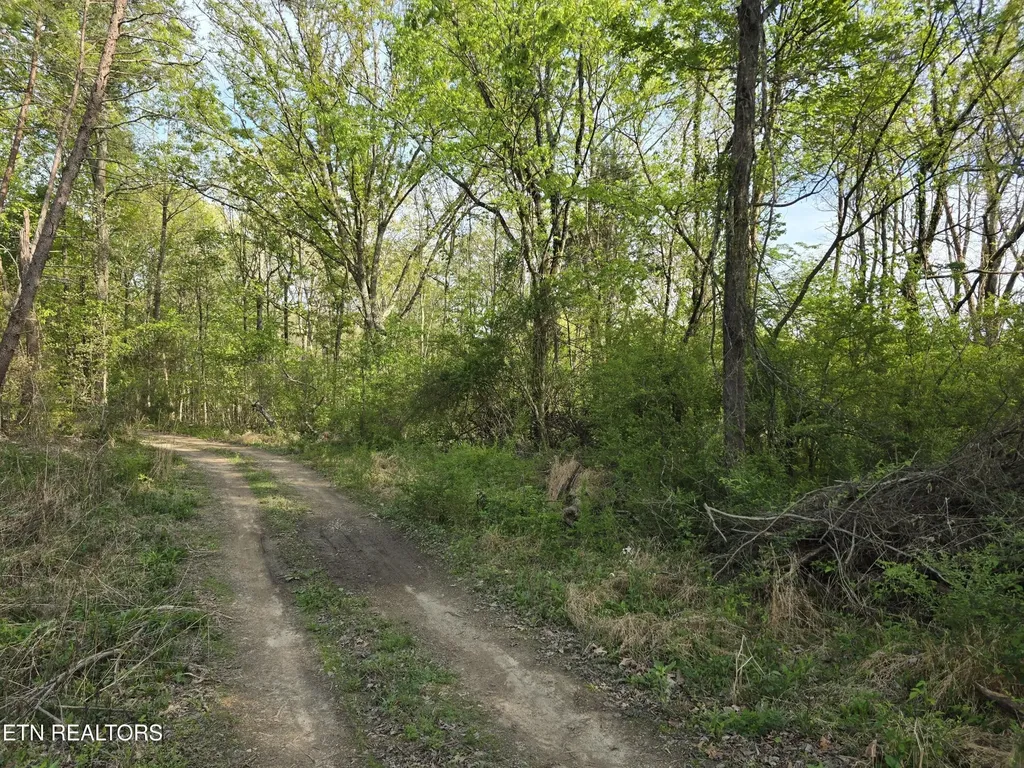 3697 Jackson Bend Road Lenoir City TN 37772
