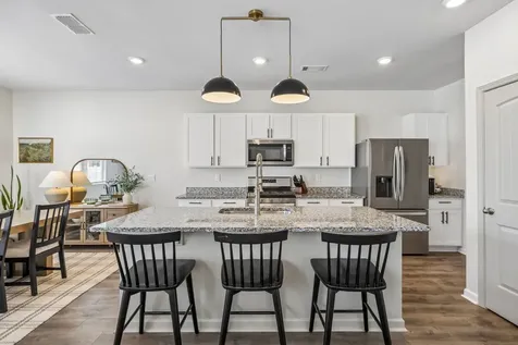 6022 Christeene Court White House TN 37188