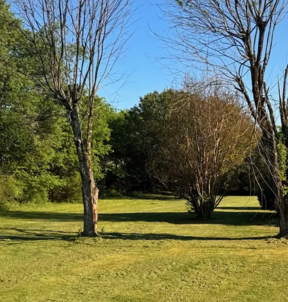 100 Woodmont Avenue Lebanon TN 37087