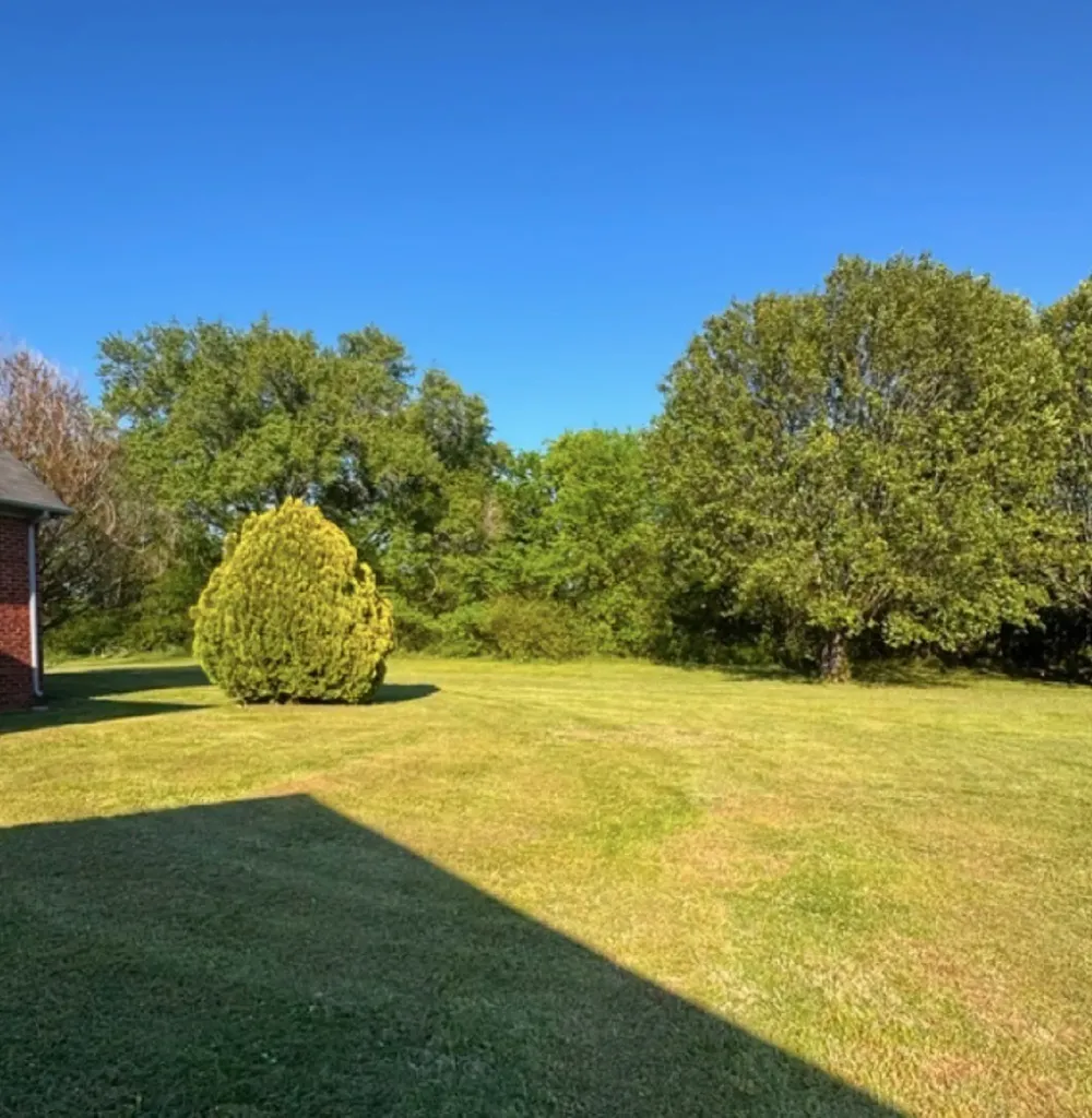 100 Woodmont Avenue Lebanon TN 37087