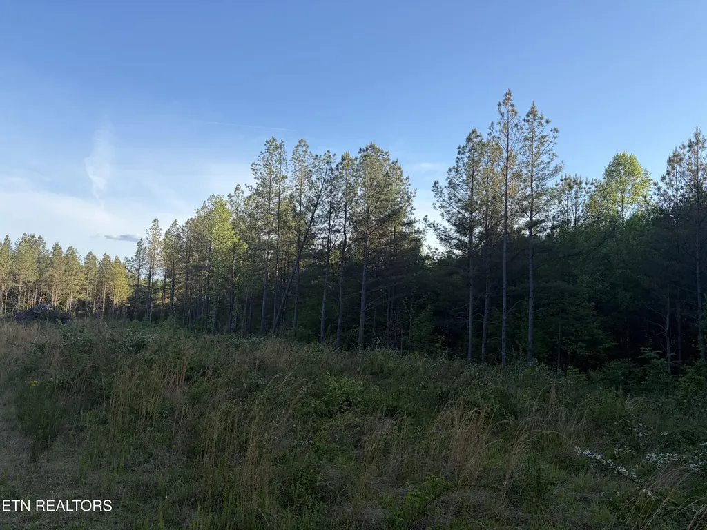 68 Black Bear Lane Sunbright TN 37872
