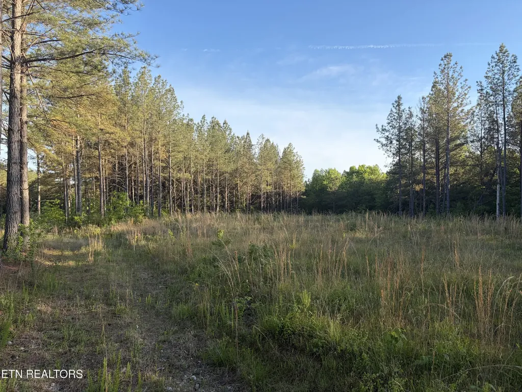 68 Black Bear Lane Sunbright TN 37872
