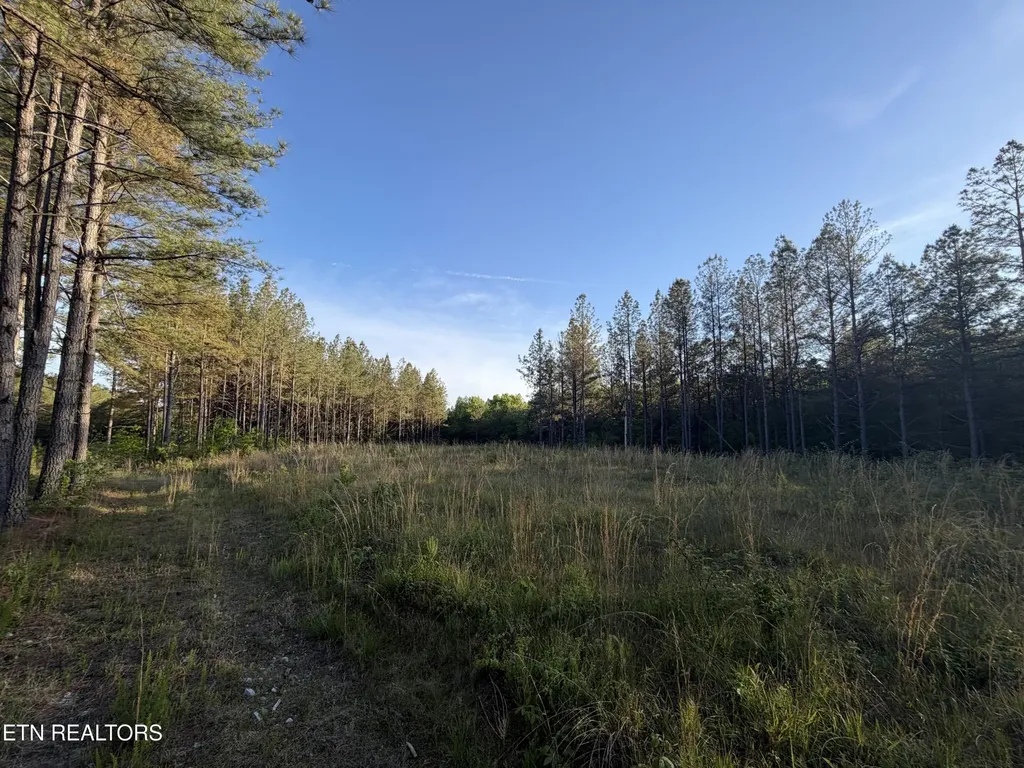 68 Black Bear Lane Sunbright TN 37872