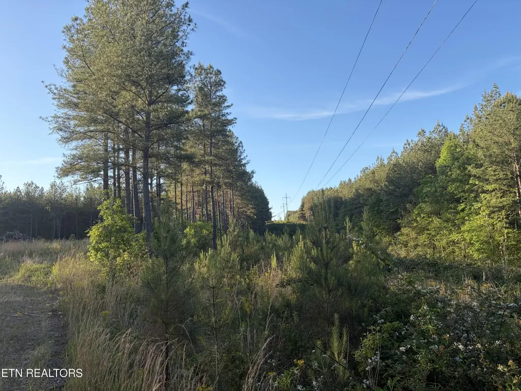 68 Black Bear Lane Sunbright TN 37872