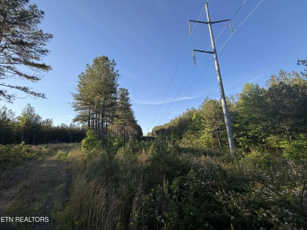 68 Black Bear Lane Sunbright TN 37872