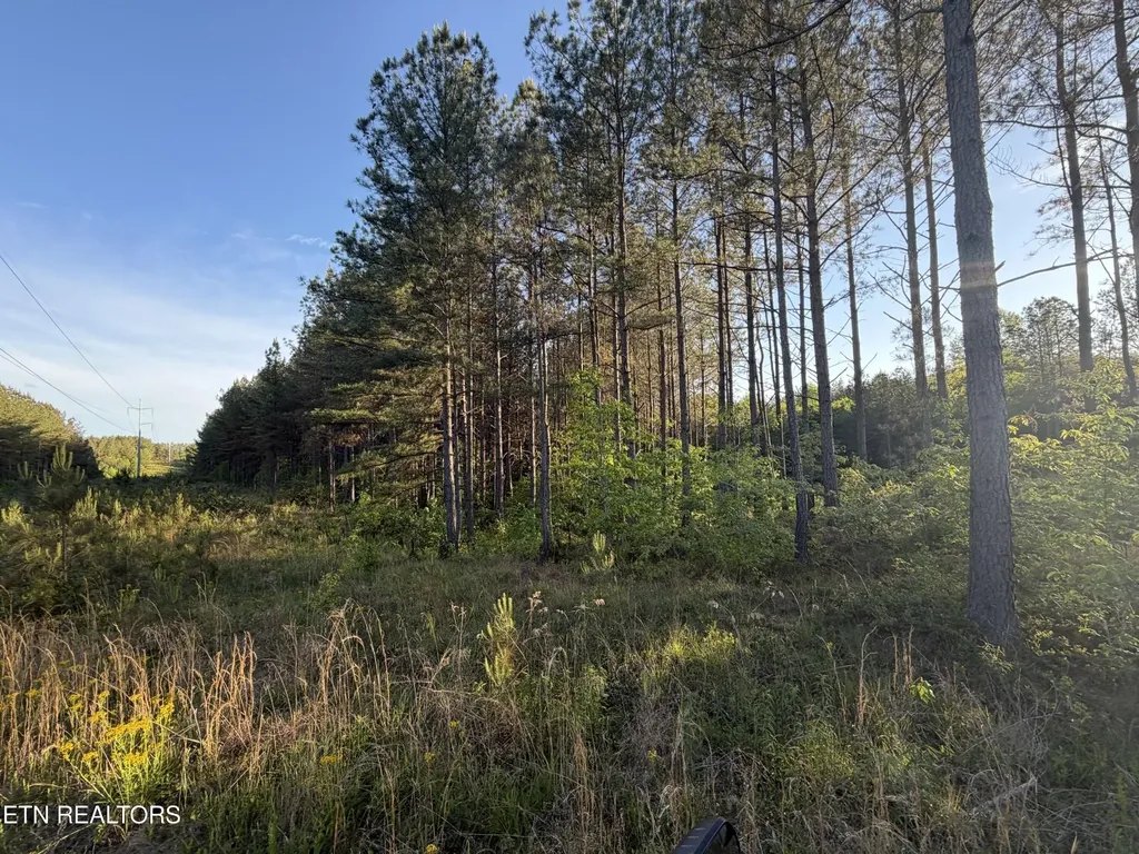 68 Black Bear Lane Sunbright TN 37872