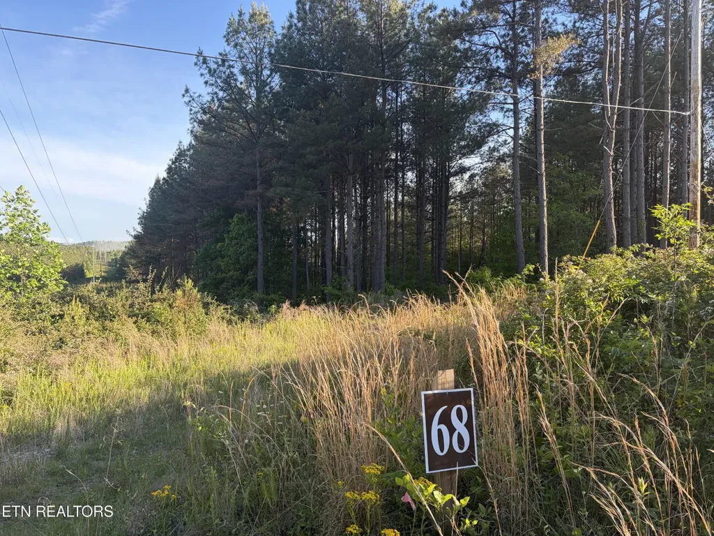 68 Black Bear Lane Sunbright TN 37872